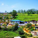 An image of Kotagiri featuring lush green hills, misty mountains, and colourful flowers.