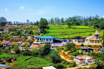 An image of Kotagiri featuring lush green hills, misty mountains, and colourful flowers.