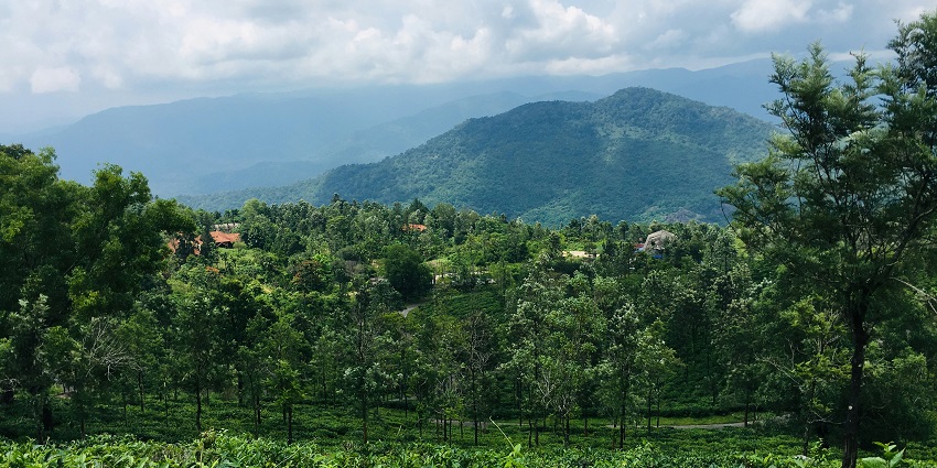 The beautiful, green and mesmerising mountains in Ponmudi, hill stations near Dindigul.