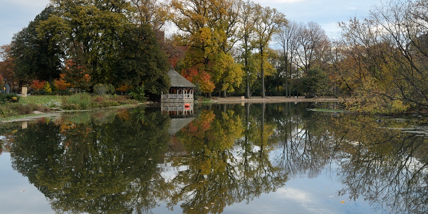 Beautiful view of Prospect Park in New York, featuring trees and a walking path.