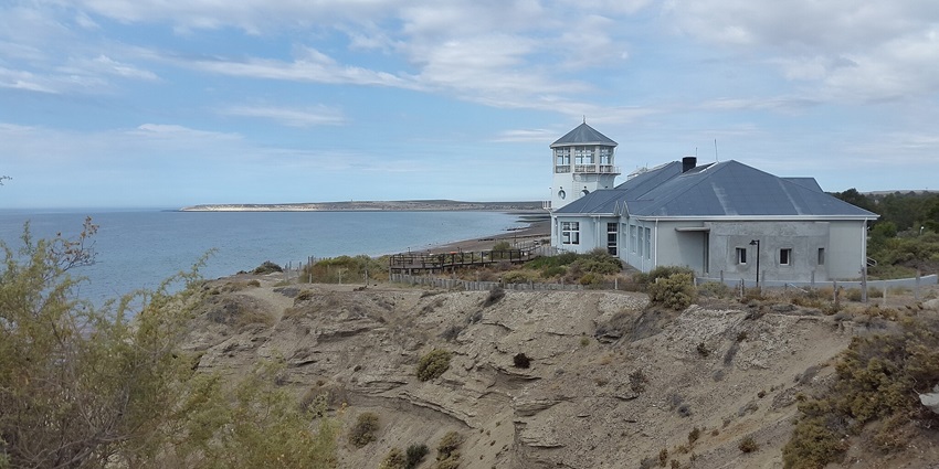 A beach in Argentina with wildlife-watching, an interesting thing to do