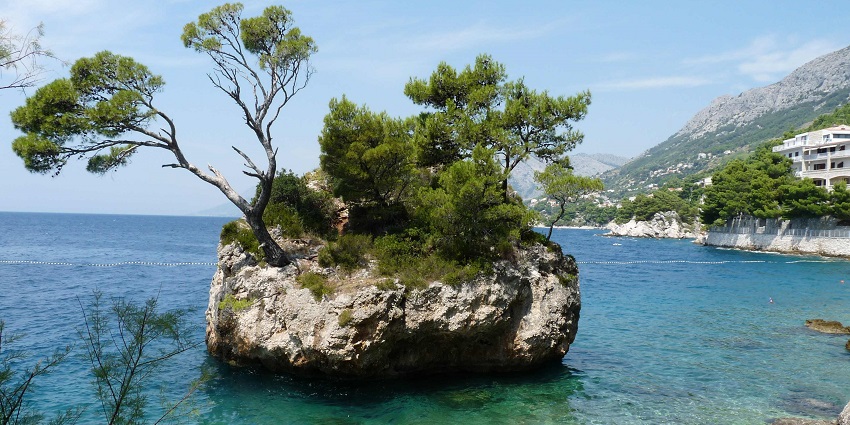 A picture of Punta Rata Beach, with clear waters and surrounding greenery.