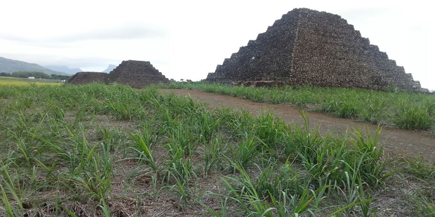 Mysterious stone structures with geometric symmetry, surrounded by sugarcane fields near Mauritius airport region.