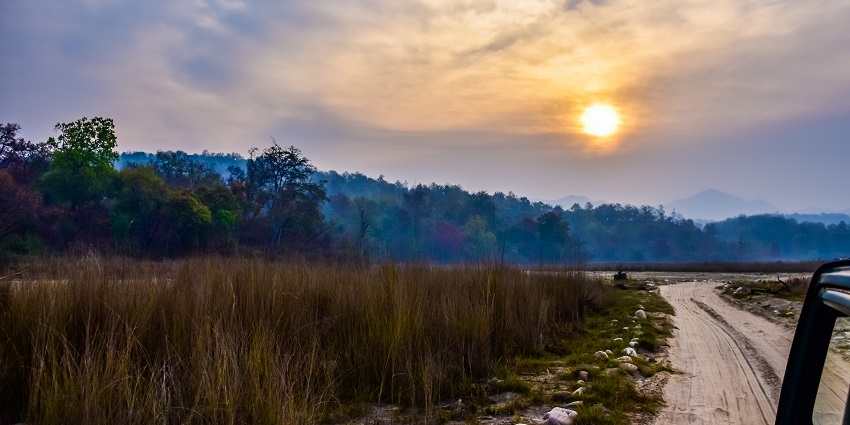 Image of Rajaji National Park - explore with jeep safari for best experience of the park