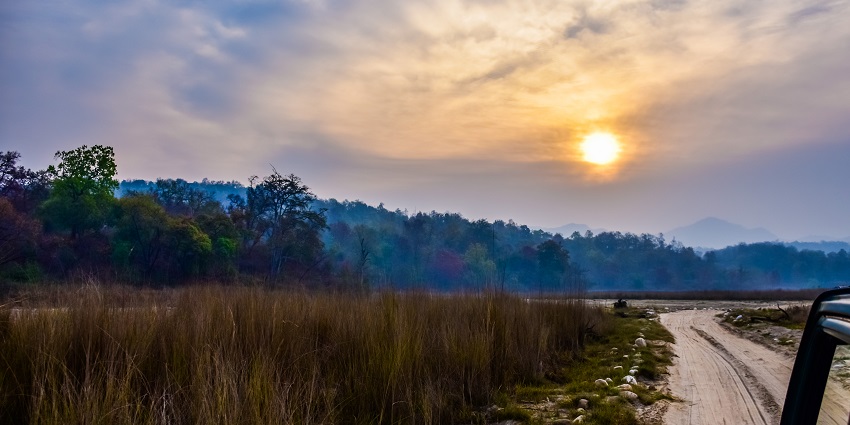 The safari of the famous Wildlife sanctuary, known for its diverse flora and fauna.