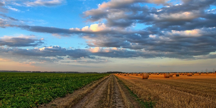 Enjoy Rajendrapur’s lush greenery and calm vibes, just a drive from the city