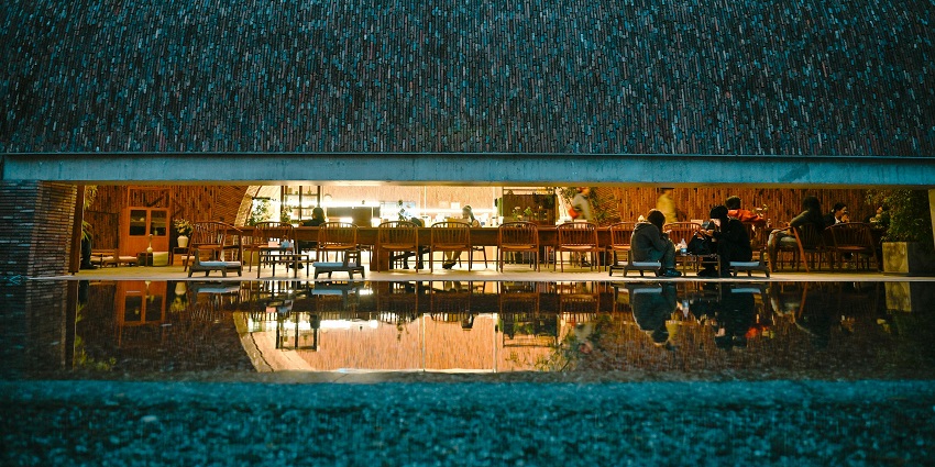 bid adieu to the past year under the starry night at rama green lawn