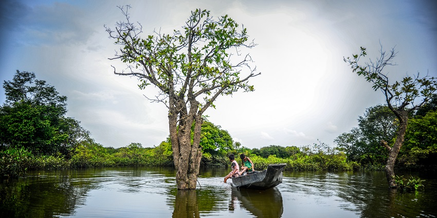 Unique freshwater swamp forest offering boat rides and nature exploration.