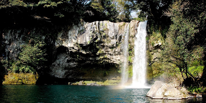 Cheonjiyeon Waterfall cascades gracefully, surrounded by vibrant green foliage.