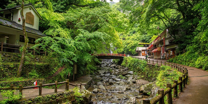 Peaceful Minoo Park with scenic trails and an exquisite waterfall.