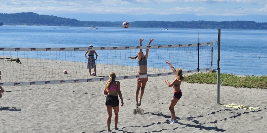 A vibrant beach with golden sand and deep blue water and few people playing volleyball
