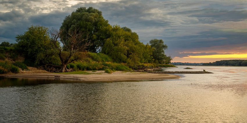Image of a lake side view with lush green trees and plants - one of the best things to do