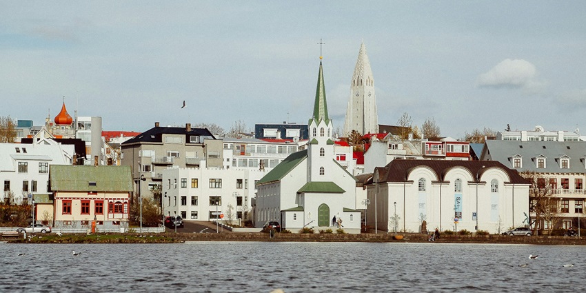 An image of Reykjavik showcasing colourful houses and a swan floating on the water body.
