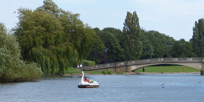 A picture of a person on a swan boat at a park in California with blue waters