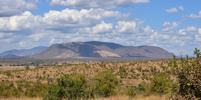 Landscape of Ruaha National Park with green bushes, dry grass and distant mountains