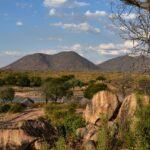 Landscape of Ruaha National Park with green trees and mountains in the background