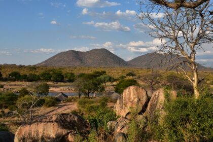 Landscape of Ruaha National Park with green trees and mountains in the background