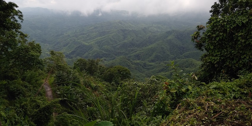 A mesmerising view of a lush green valley in Bangladesh under a misty and cloudy sky