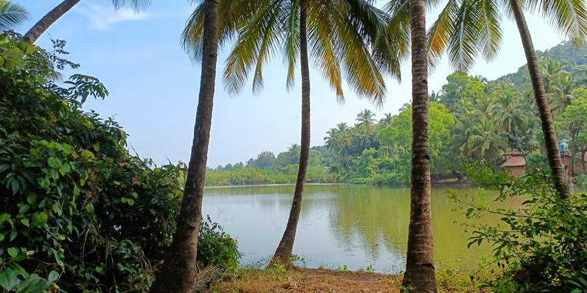 The tranquil Sal Backwaters is one of the places to visit after mangroves kayaking.
