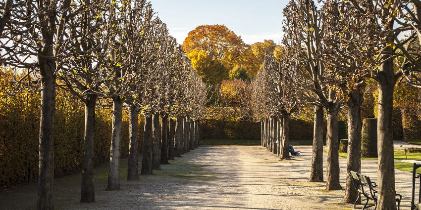 The beautiful manicured flower beds and fountains in Schönbrunn Palace Gardens.
