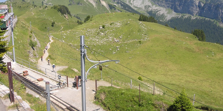 Schynige Platte is among the places to visit in Interlaken, is at an altitude of 2000 meters.