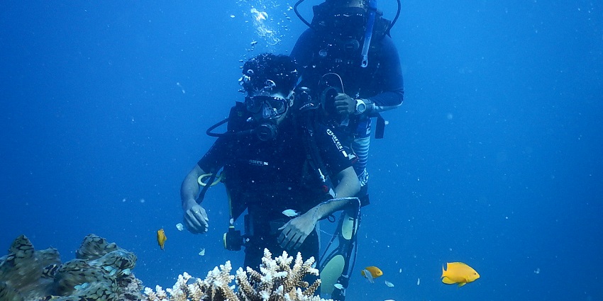 Dive deep into Vagator Beach waters sports and explore a vibrant marine world.