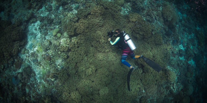 Discover vibrant coral reefs and marine life in Palawan’s UNESCO site
