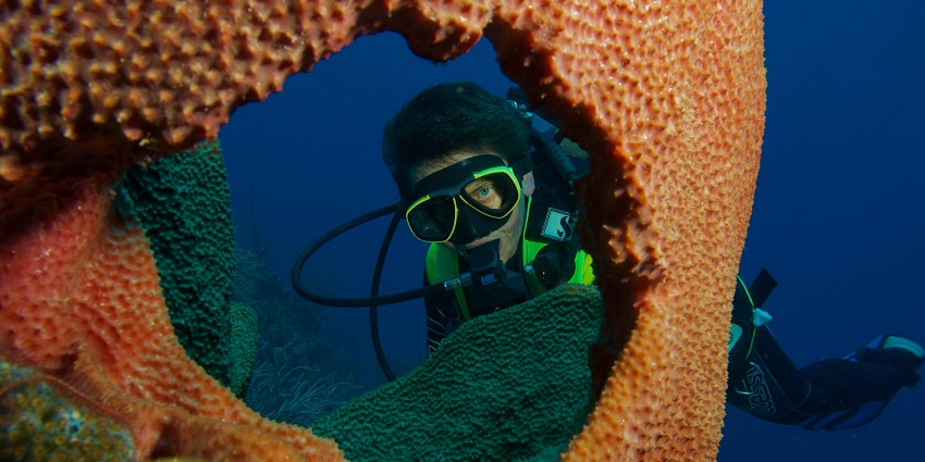 A picture of a person enjoying water activity scuba diving in a calm and blue ocean.