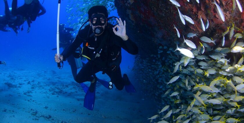 Scuba diving in Oman offers vibrant reefs, marine life, and adventure.