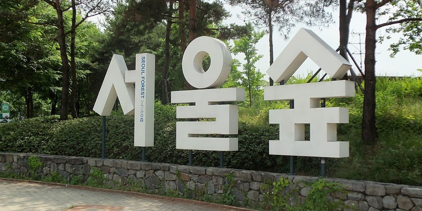 Seoul Forest offers a peaceful escape with nature trails and wildlife.