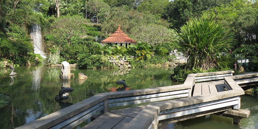 Scenic view of Sha Tin Park garden - a small pond and lush greenery surrounded