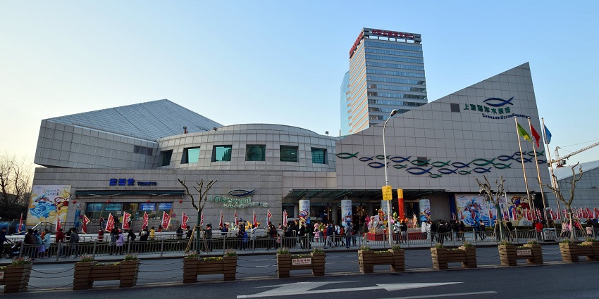 Shanghai Ocean Aquarium is an amazing place you must explore with your children.