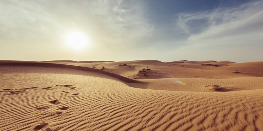Enjoy a night safari on your visit, one of the ways to enjoy the vibrant Egypt nightlife.
