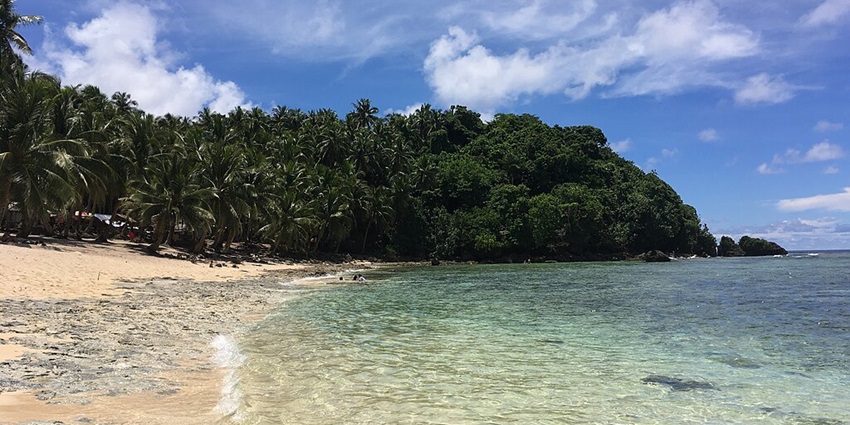 A glimpse of Siargao Island, a surfing paradise, palm tree landscapes, serene island vibe.