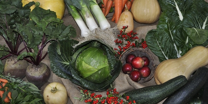 Honoring the fresh harvest, Nuakhai is the cherished tradition.