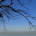 View of Silghat bridges history, nature, and cultural heritage seamlessly in Assam.