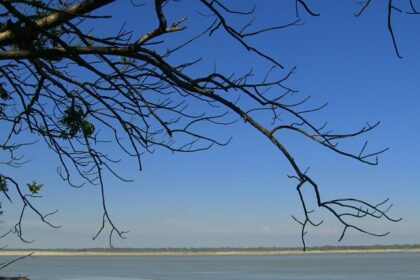 View of Silghat bridges history, nature, and cultural heritage seamlessly in Assam.