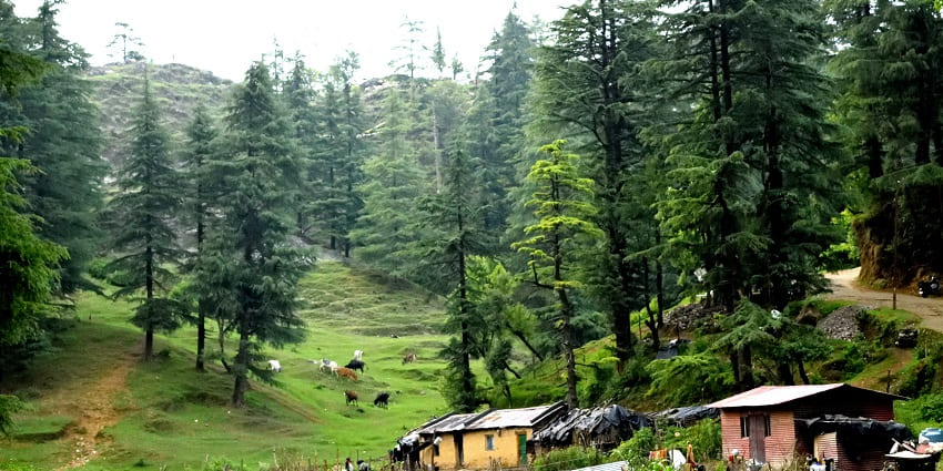 Sir George Everest House is one of the best tourist attractions in Mussoorie for all.