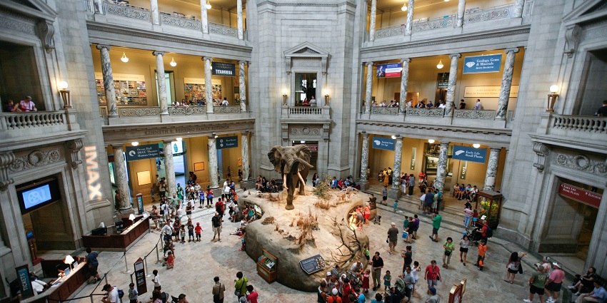 Fascinating museum featuring exhibits on natural history and prehistoric life, highlighted in the United States travel guide.