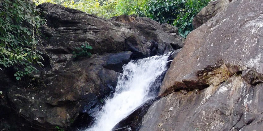 The stunning waterfall in Wayanad, surrounded by lush greenery is perfect for nature lovers.