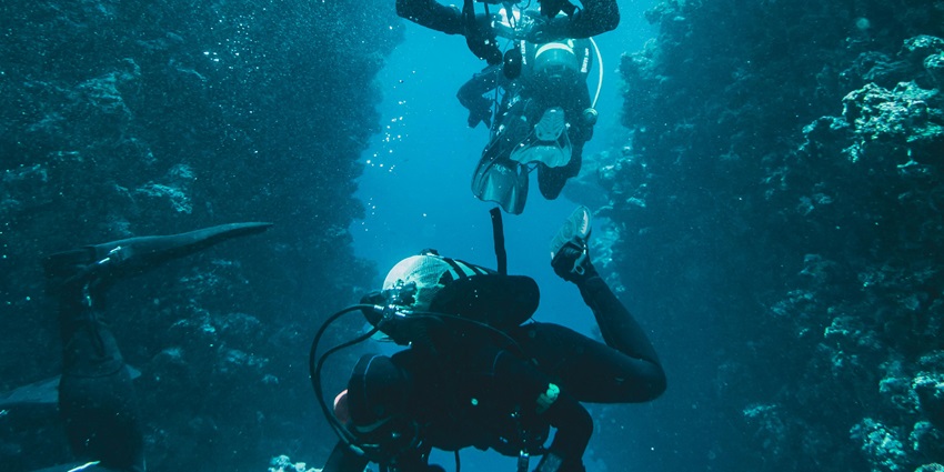Experience the thrill of scuba diving in Mauritius and witness the diverse marine life.