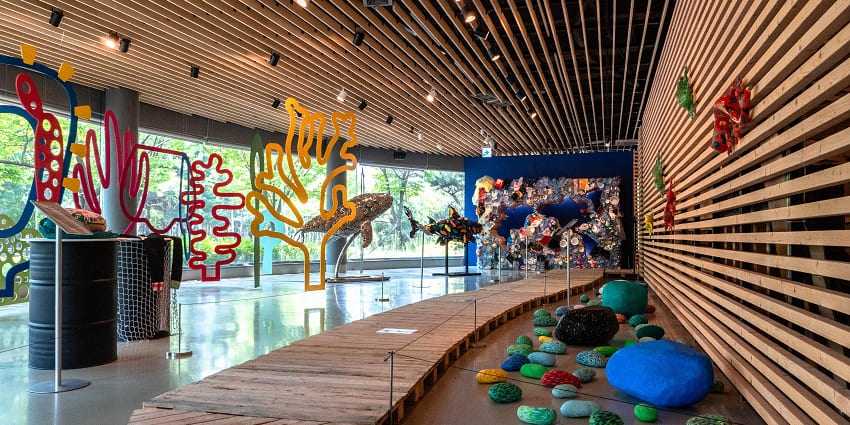 Stellar Children’s Museum has various artefacts.
