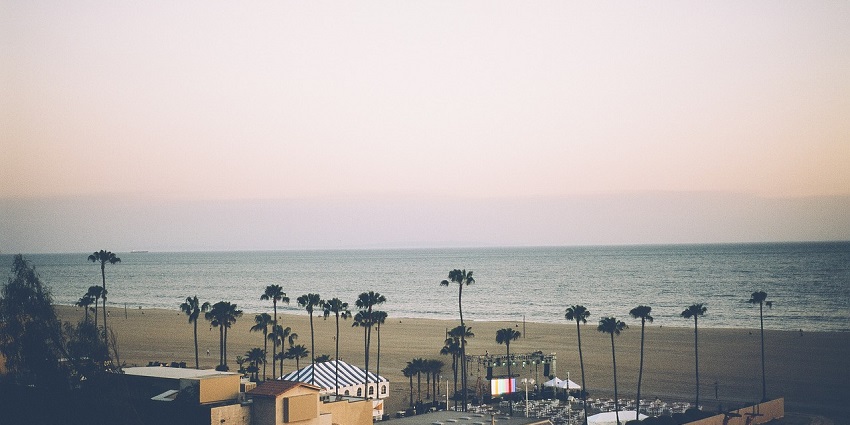 An image of Santa Monica beach with golden sand, palm trees, and a clear blue sky in the background