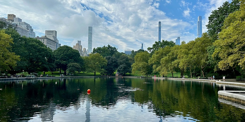 Central Park featuring a small pond in the and lush greenery surrounding the area