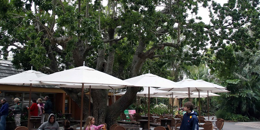 People at a food canteen in the Fairchild Tropical Botanic Garden, Miami, Florida