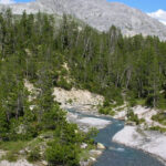 Breathing in the essence of Swiss National Park in Switzerland.