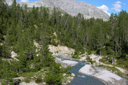 Breathing in the essence of Swiss National Park in Switzerland.