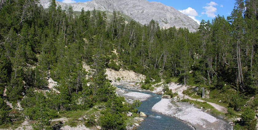 Breathing in the essence of Swiss National Park in Switzerland.