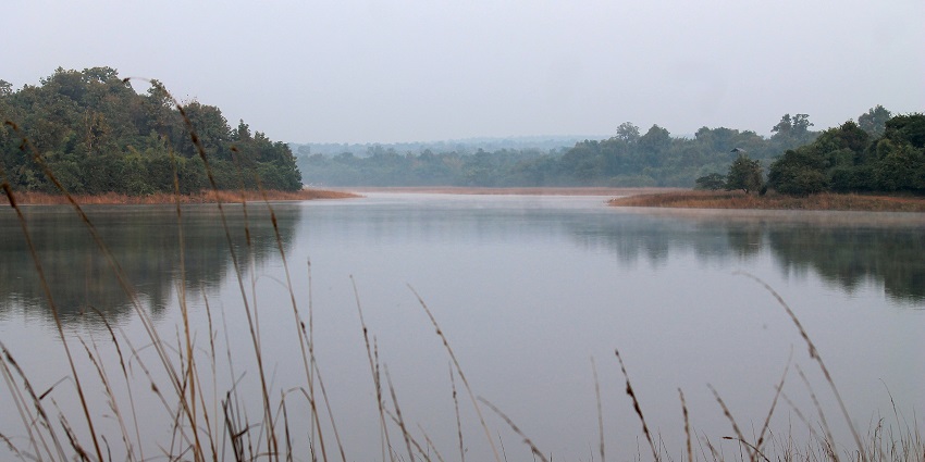 The picture of the lake inside the Tadoba-Andhari Tiger Reserve in Chnadrapur, Maharashtra.