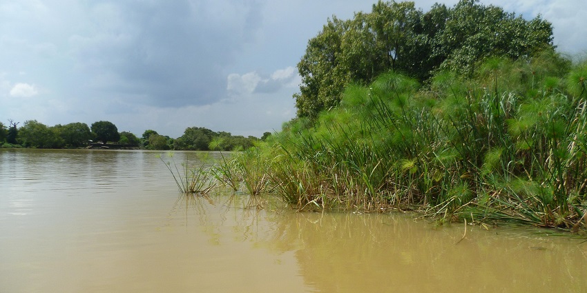 Sunlight is falling on the wavy waters of the Lake Tana from a clouded yet sunny sky.